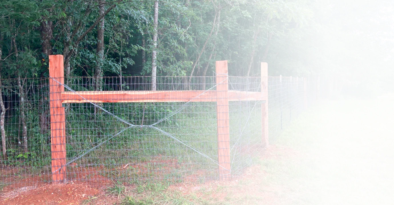 iron mesh fence with a wood structure behind and some trees around